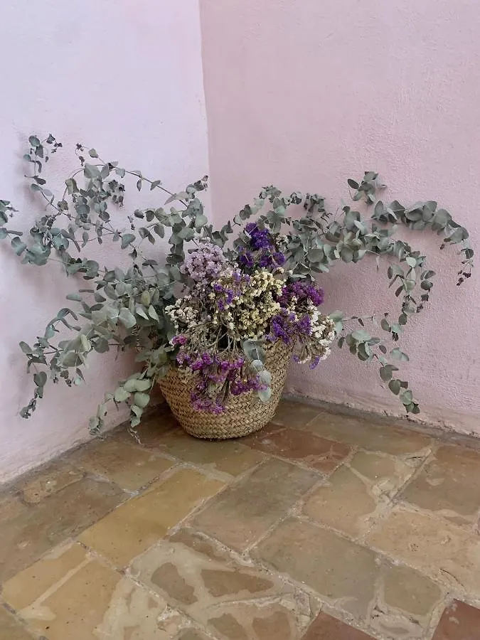 엘푸에르토데산타마리아 Patios Del Agua B&B