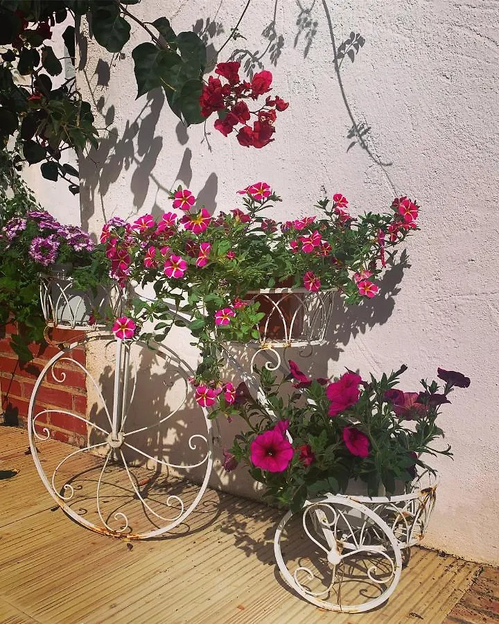 Patios Del Agua Bed & Breakfast El Puerto de Santa Maria 0*,