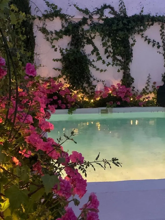 Patios Del Agua contacts